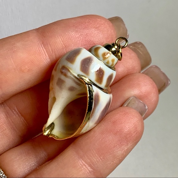 ⭐️ Gold Plated Shell ⭐️ - Picture 3 of 8